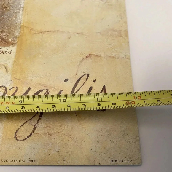 Lot Of 4 Shell‎ Art Prints 12x12 Caribbean, Japan, Gulf of Mexico, Indo Pacific - Picture 9 of 10